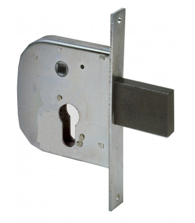 Cisa 42312 iron lock to insert 